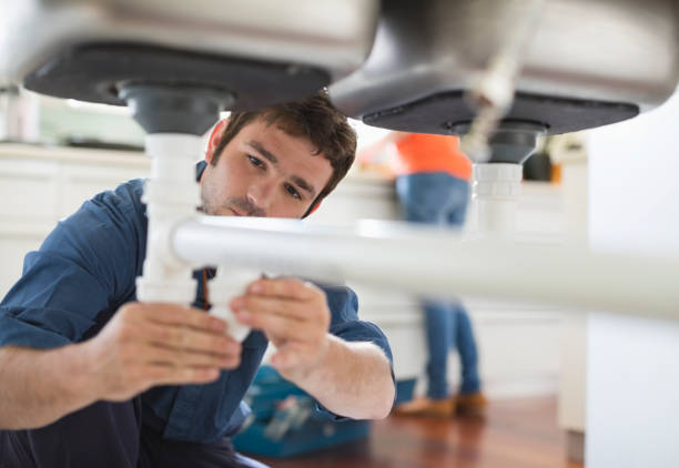 Best Local Plumber Services  in Duluth, MN